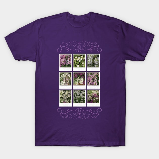 Assylum Photo Collection [full set bundle 2] T-Shirt by deadbeatprince typography